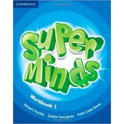 Super Minds 1 Workbook