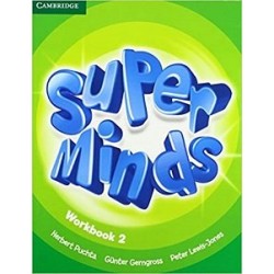 Super Minds 2 Workbook
