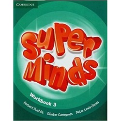 Super Minds 3 Workbook